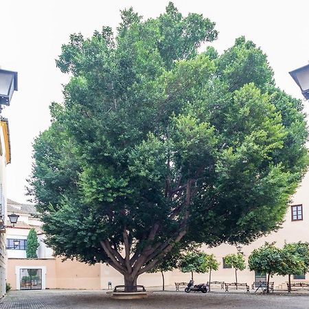 Alohamundi Escuelas Pias Sevilla Eksteriør bilde